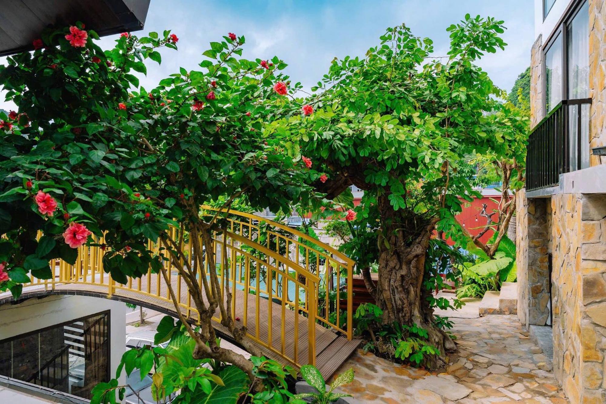 Chan Chau Ecorest Villa Cat Ba المظهر الخارجي الصورة